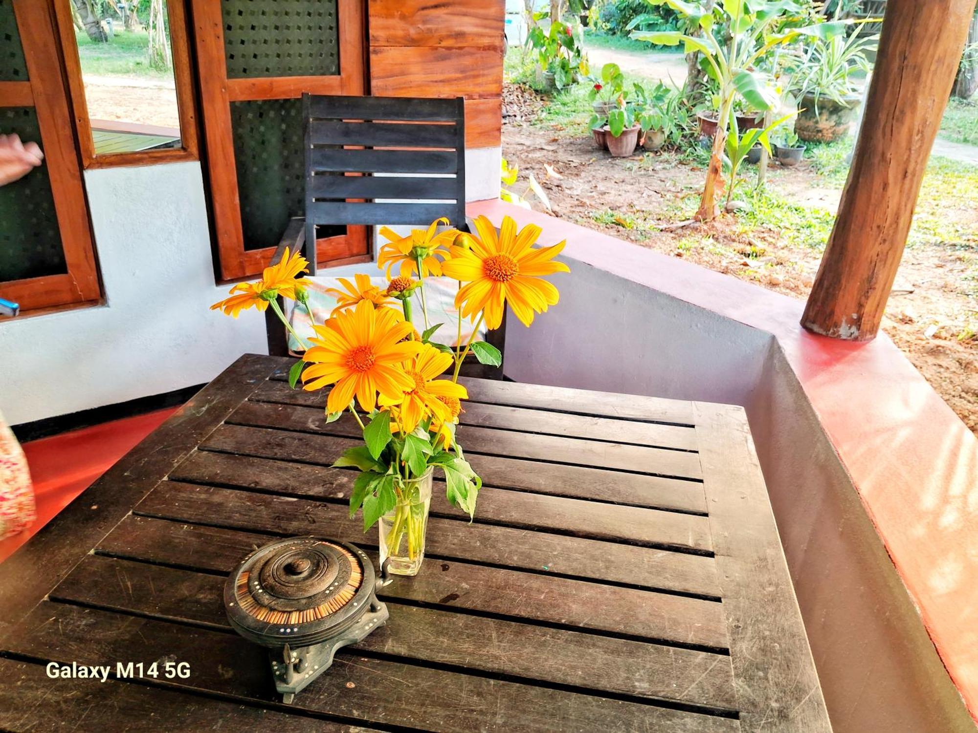 Sea Sound Cabana & Restaurant Tangalle Eksteriør billede